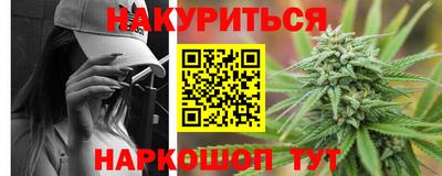 СК Новокубанск