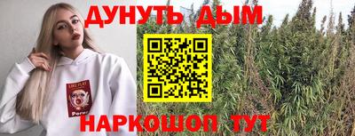 СК Новокубанск