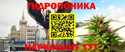 a pvp Новодвинск