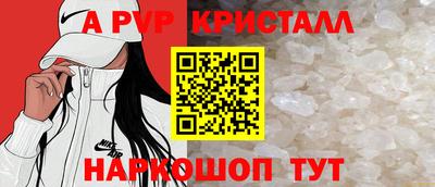 СК Новокубанск